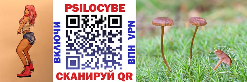 Купить где  Севастополь  Галлюциногенные грибы мухоморы